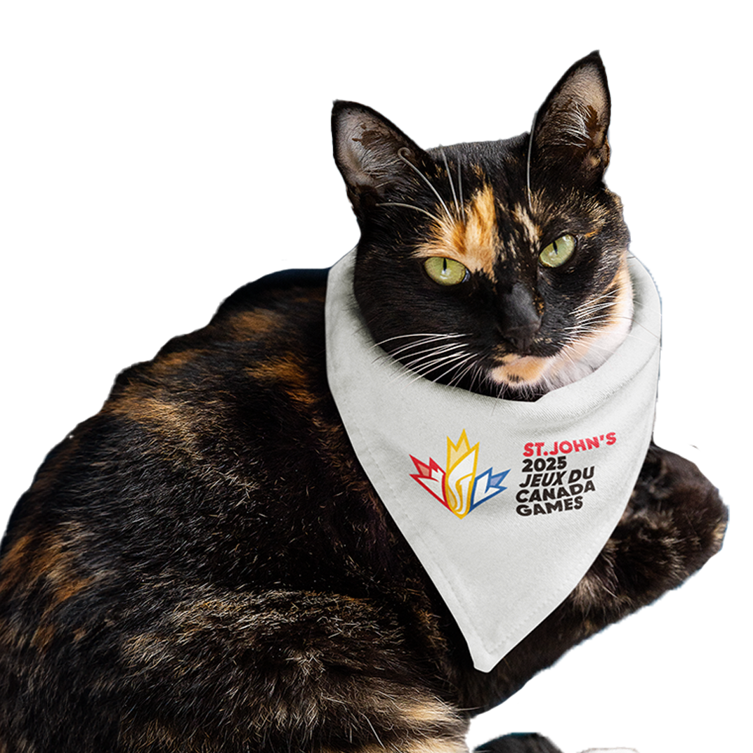 25CG Pet Bandanas